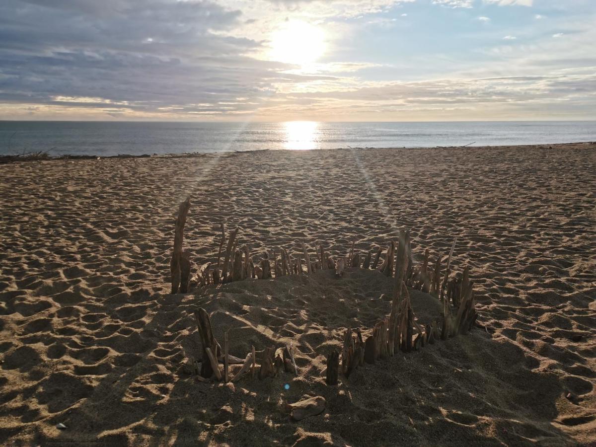 Appartement Soleil Levant - Acces Direct Plage - Terrasse - Une Chambre - Proche Commerces 르발카레스 외부 사진