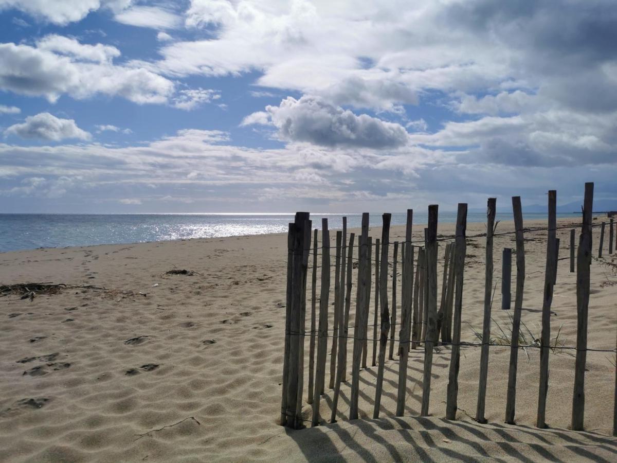 Appartement Soleil Levant - Acces Direct Plage - Terrasse - Une Chambre - Proche Commerces 르발카레스 외부 사진