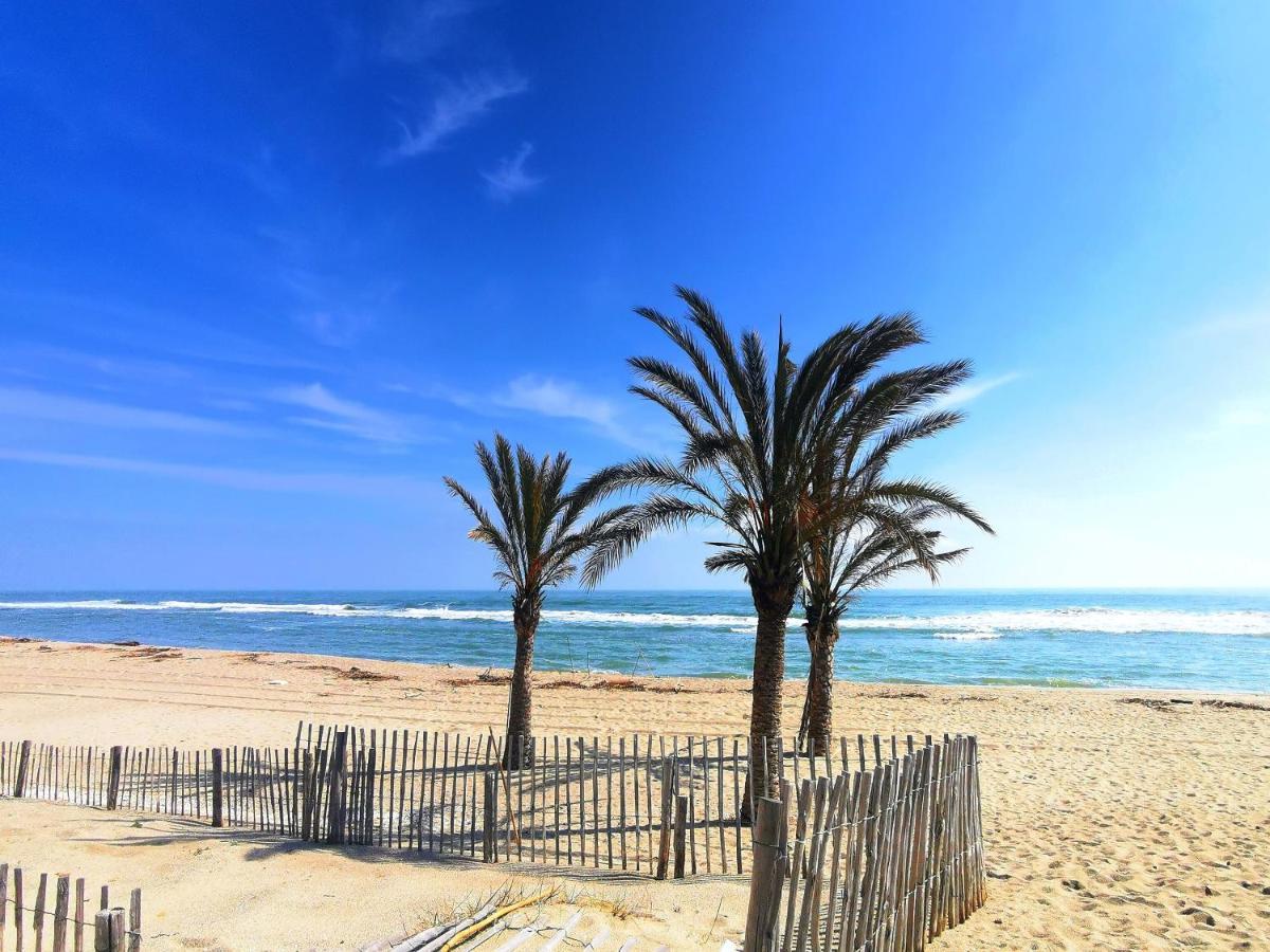 Appartement Soleil Levant - Acces Direct Plage - Terrasse - Une Chambre - Proche Commerces 르발카레스 외부 사진